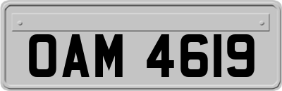 OAM4619