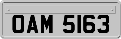 OAM5163