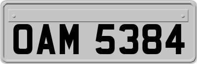 OAM5384