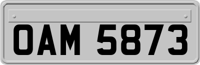 OAM5873