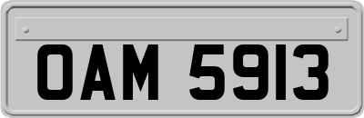 OAM5913