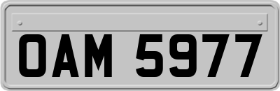 OAM5977