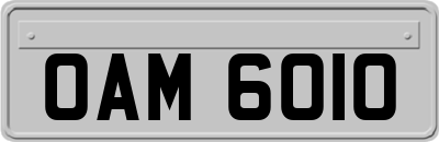 OAM6010