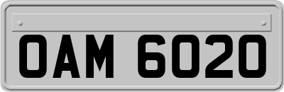 OAM6020