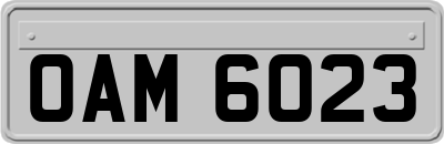 OAM6023