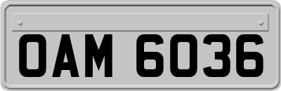 OAM6036