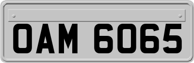 OAM6065
