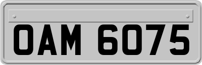 OAM6075