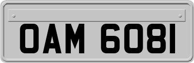 OAM6081