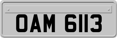 OAM6113