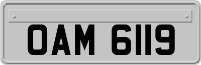 OAM6119
