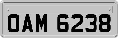 OAM6238