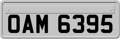 OAM6395