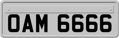 OAM6666