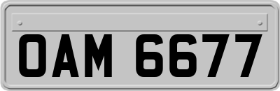 OAM6677