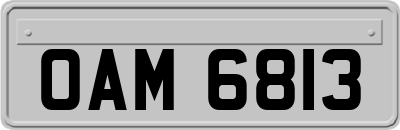 OAM6813