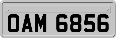 OAM6856