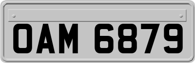 OAM6879