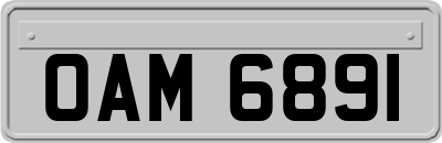 OAM6891