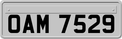 OAM7529