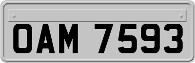 OAM7593