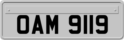 OAM9119