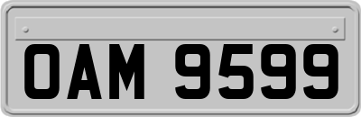 OAM9599