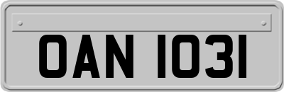 OAN1031