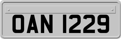 OAN1229