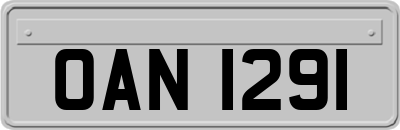 OAN1291