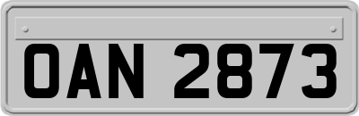 OAN2873
