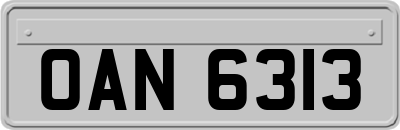 OAN6313