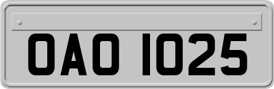 OAO1025