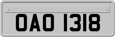 OAO1318
