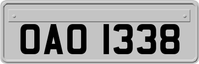 OAO1338