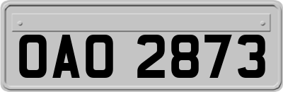 OAO2873