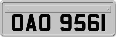 OAO9561