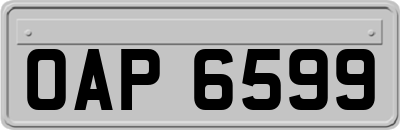 OAP6599