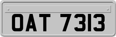 OAT7313