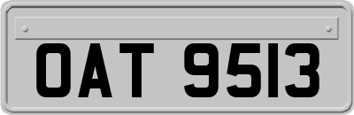 OAT9513