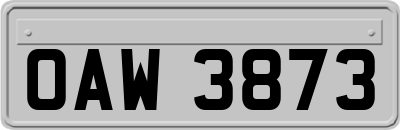 OAW3873