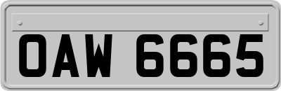 OAW6665