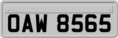OAW8565