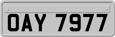 OAY7977