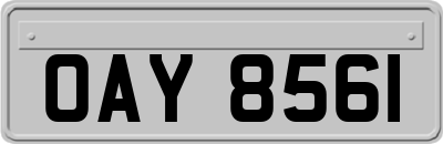 OAY8561