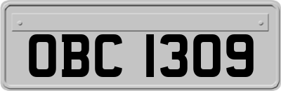 OBC1309