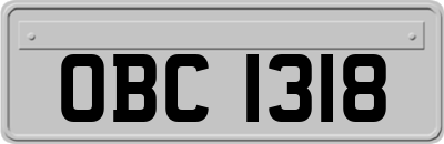 OBC1318