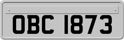 OBC1873
