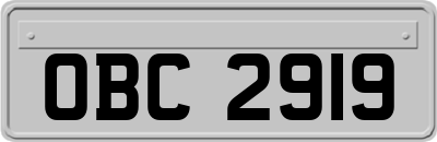 OBC2919