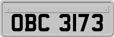 OBC3173